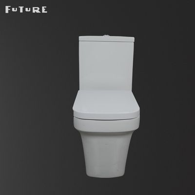 610*357*400MM Kare Yakın Bağlantılı Tuvalet P Tuzak Klozet Çevre Dostu