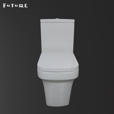Yerçekimi Flushing Yakın Bağlantılı Klozet WC