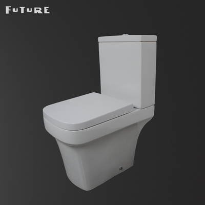 Yerçekimi Flushing Yakın Bağlantılı Klozet WC