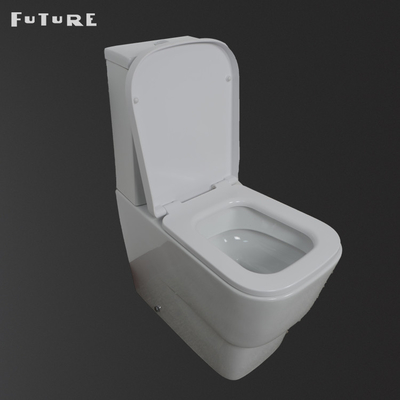 Dual Flush 3L 6L Wash Down Tip Klozet Yere Monte Wc Banyo Sıhhi