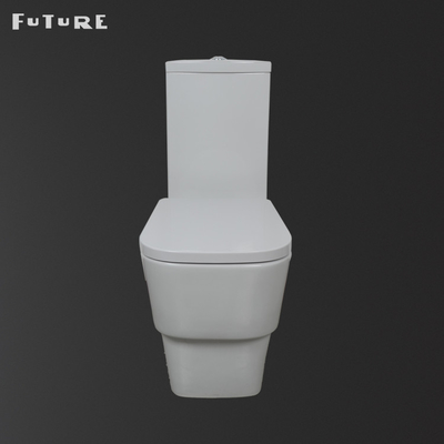 Dual Flush 3L 6L Wash Down Tip Klozet Yere Monte Wc Banyo Sıhhi