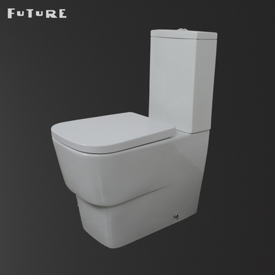 Dual Flush 3L 6L Wash Down Tip Klozet Yere Monte Wc Banyo Sıhhi