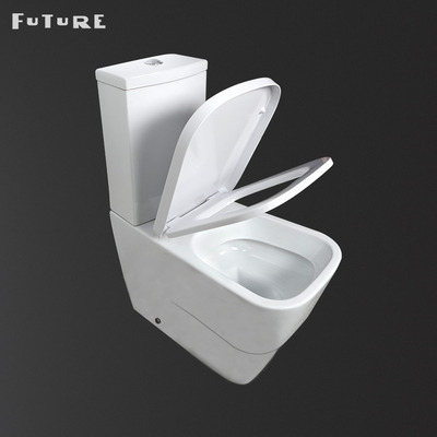 Dual Flush 3L 6L Wash Down Tip Klozet Yere Monte Wc Banyo Sıhhi