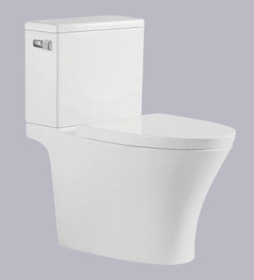 S Trap İki Parça Tuvalet Filipin Klozet Lavabo 695*395*750mm